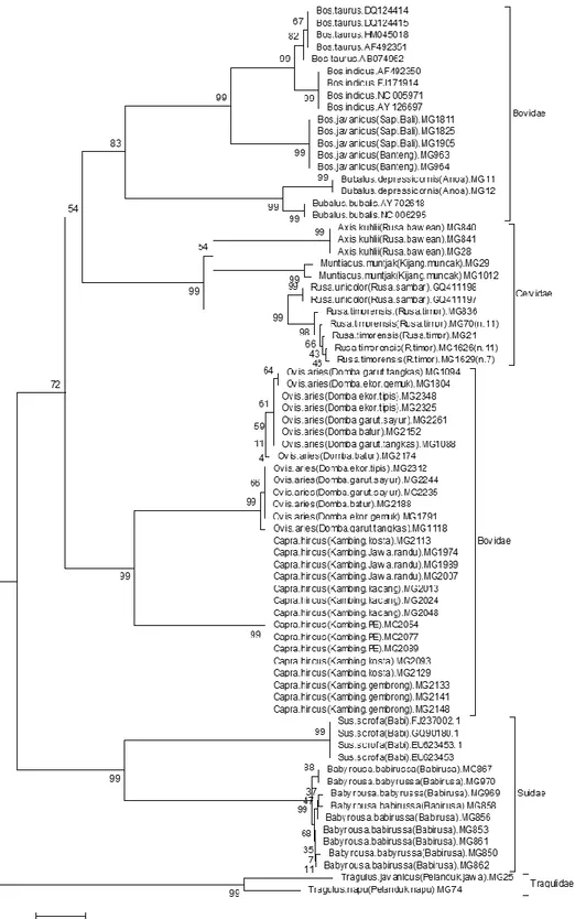 Gambar  1.  Konstruksi  pohon  filogeni  ordo  Cetartiodactyla  berdasarkan  metoda  Neighborjoining dengan menggunakan perangkat lunak Mega versi 4.0.1