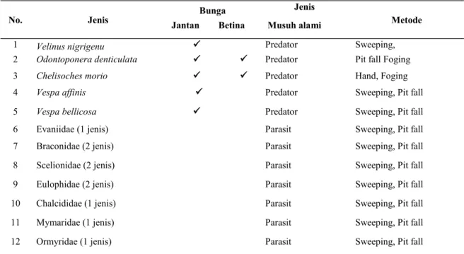 Tabel 1. Keragaman jenis serangga predator E. kamerunicus  dan serangga parasitoid di perkebunan  sawit 