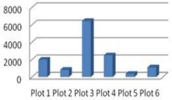 Gambar 2. Jumlah individu pada setiap plot 