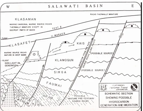 Gambar 4.3. Kemungkinan jalur migrasi hidrokarbon pada Cekungan Salawati (Phoa dan Samuel, 1986)