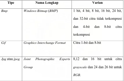 Tabel 2.1 Tipe File Citra yang Umum Digunakan 