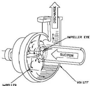 Gambar 3.1 Pompa Sentrifugal 