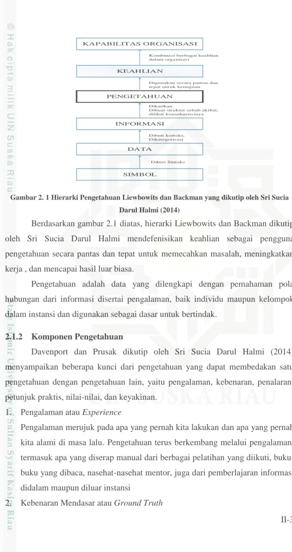 Gambar 2. 1 Hierarki Pengetahuan Liewbowits dan Backman yang dikutip oleh Sri Sucia  Darul Halmi (2014) 