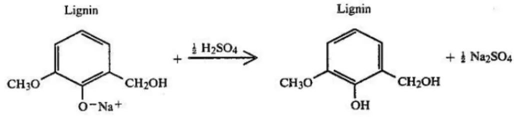 Gambar 4. Skema reaksi pengasaman lignin  2.6.5 Sulfonasi 
