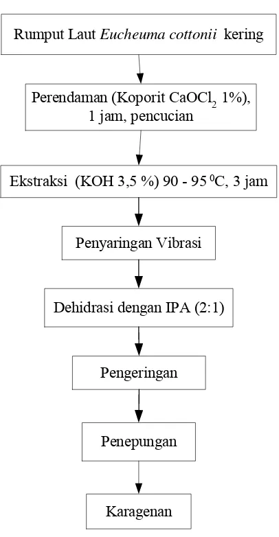 Gambar 1  Diagram alir ekstraksi karagenan modifikasi                                 (Suryaningrum, 2003)