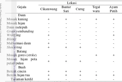 Tabel 5  Variasi gejala pada tanaman pepaya di lapangan 