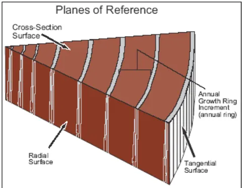 Gambar 1  Referensi bidang geometris permukaan kayu  
