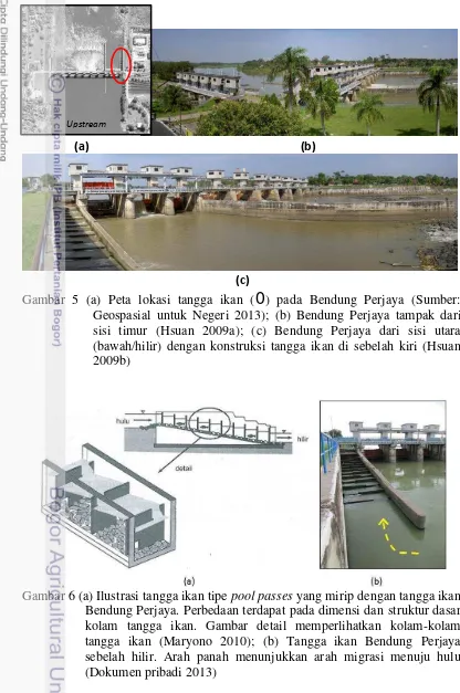 Gambar 5 (a) Peta lokasi tangga ikan (0) pada Bendung Perjaya (Sumber: 