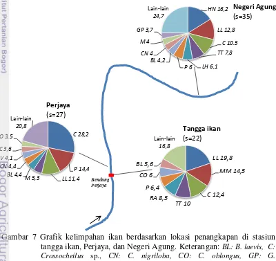Gambar 7 Grafik kelimpahan ikan berdasarkan lokasi penangkapan di stasiun tangga ikan, Perjaya, dan Negeri Agung