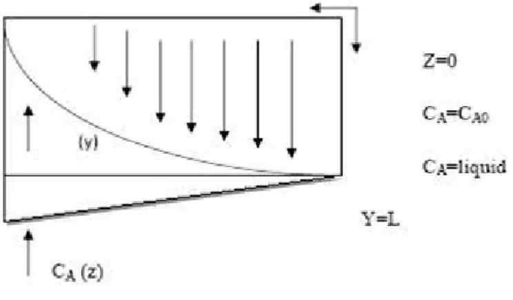 Gambar  di  bawah  ini  memperlihatkan  cairan  yang  sedang  jatuh  pada  lapisan  (film)  dengan aliran laminer ke dasar pada permukaan rotameter yang vertikal berkontak dengan gas  A  yang  larut  ke  dalam  cairan  dengan  konsentrasi  A  yang  seragam