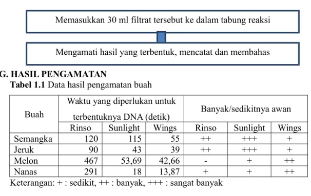 Tabel 1.1 Data hasil pengamatan buah  Buah