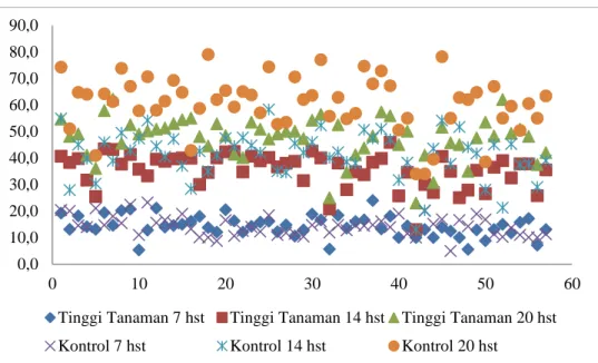 Gambar 1. Sebaran tinggi tanaman genotipe tercekam genangan pada                                   umur 7, 14 dan 20 hst