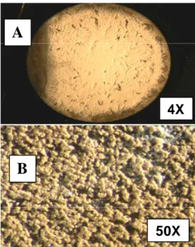 Gambar 4. Lapisan nitrida, setelah sampel dinitridasi 