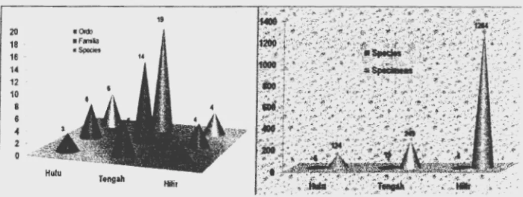 Gambar 9.  Hasil penelitian di  perairan hulu, tengah dan hilir danau-danau DAS  Ciliwung:  ordo, suku danjenis (kiri);jenis dan spesimen (kanan) 