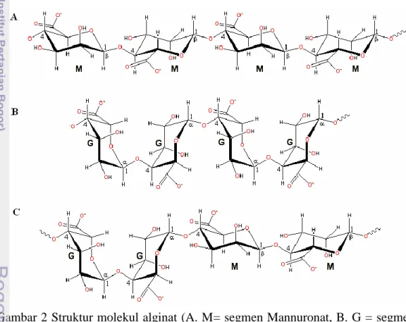 Gambar 2 Struktur molekul alginat (A. M= segmen Mannuronat, B. G = segmen   Guluronat,  C