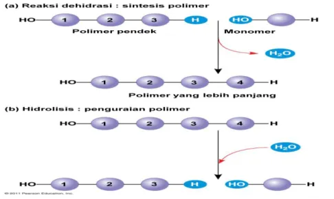 Gambar 1. Sintesis dan Perombakan Polimer  