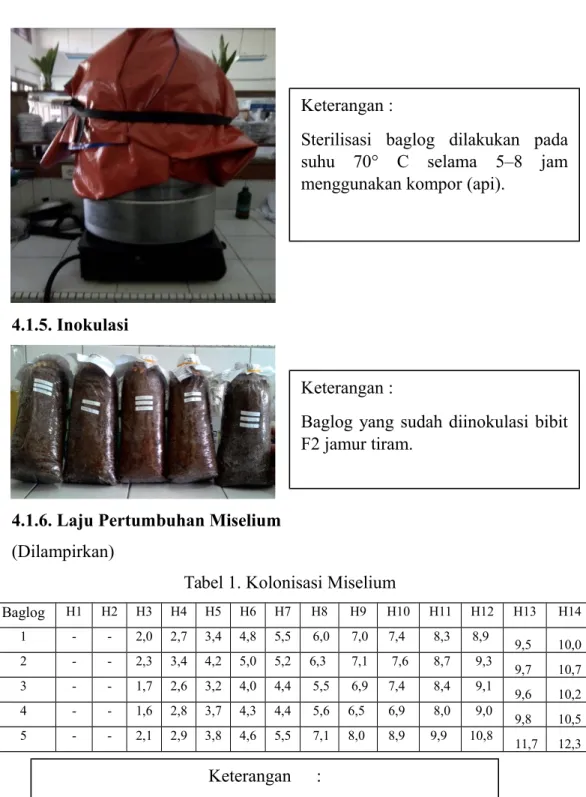 Tabel 1. Kolonisasi Miselium
