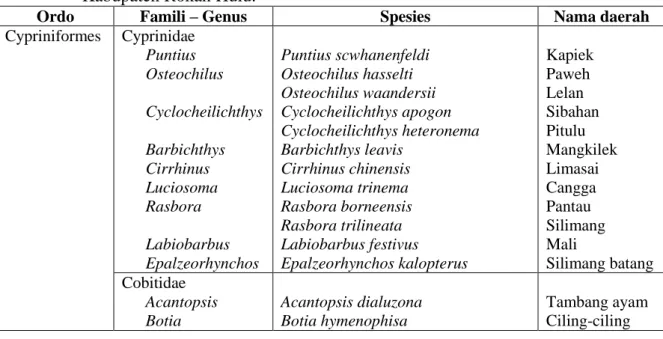 Tabel  1.  Jenis-jenis  ikan  Cypriniformes  di  Sungai  Rokan  Kecamatan  Rokan  IV  Koto  Kabupaten Rokan Hulu