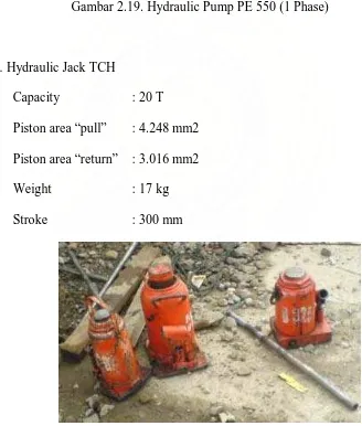 Gambar 2.19. Hydraulic Pump PE 550 (1 Phase) 