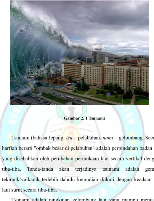 Gambar 2. 1 Tsunami