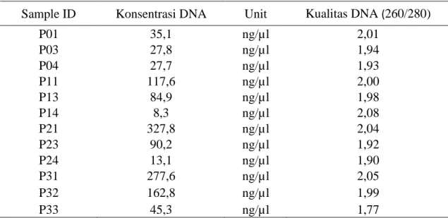 Tabel 3. Pola pita DNA hasil Amplifikasi dari tanaman anggrek G. scriptum hasil kultur  in vitro yang teramplifikasi dengan menggunakan primer RAPD 