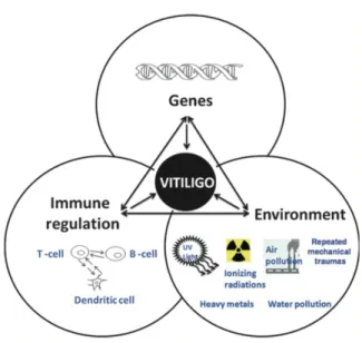 Gambar 2. Interaksi genetik, imunitas dan lingkungan 6