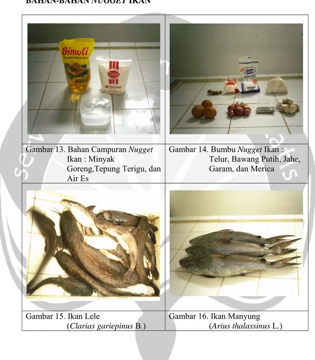 Gambar 13. Bahan Campuran Nugget  Ikan : Minyak 