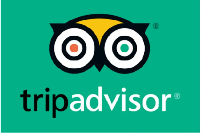 Gambar 2.1 Logo TripAdvisor  (Sumber: www.tripadvisor.com) 