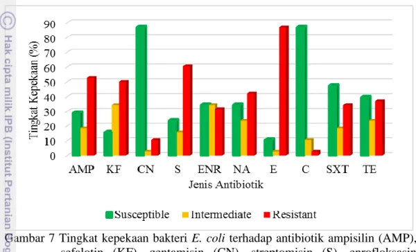 Gambar 7 Tingkat kepekaan bakteri E. coli terhadap antibiotik ampisilin (AMP),  sefalotin  (KF),  gentamisin  (CN),  streptomisin  (S),  enrofloksasin  (ENR),  nalidixid  acid  (NA),  eritromisin  (E),  kloramfenikol  (C),  trimetoprim-sulfametoksasol (SXT