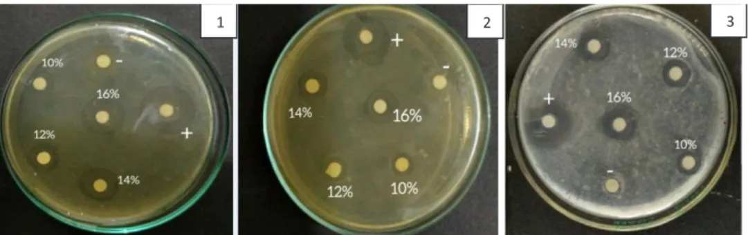 Gambar 4.  Hasil Uji LDH Ekstrak Biji Tanaman Bangkuang Terhadap 1) Staphylococcus  epidermidis, 2) Pseudomonas aeruginosa, 3) Candida albicans.