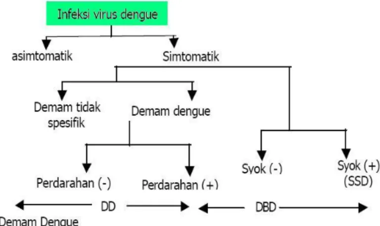 Gambar 6. Spektrum Klinis DD dan DBD 