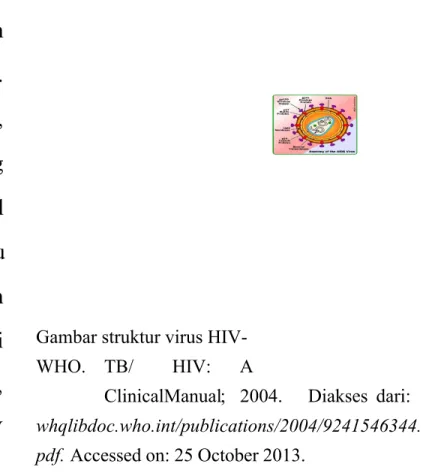 Gambar struktur virus HIV- HIV-WHO.  TB/  HIV:  A