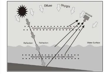 Gambar 1 Ilustrasi pendeteksian substrat dasar dengan citra satelit (Mount 2006) 