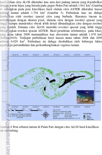 Gambar 4 Peta sebaran lamun di Pulau Pari dengan citra ALOS hasil klasifikasi  