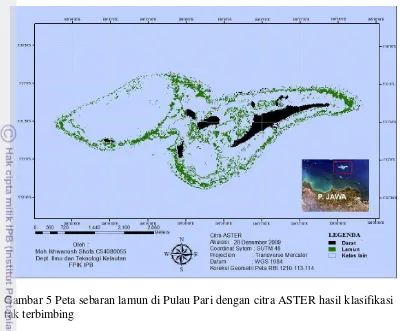 Gambar 5 Peta sebaran lamun di Pulau Pari dengan citra ASTER hasil klasifikasi  