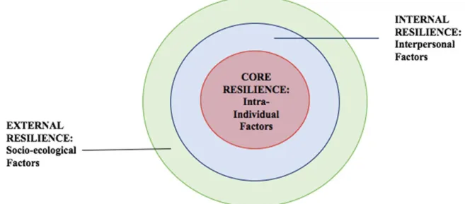 Gambar 1. Model MSMR (Liu et al., 2017) Konsep value: Schwartz’s theory of basic values 