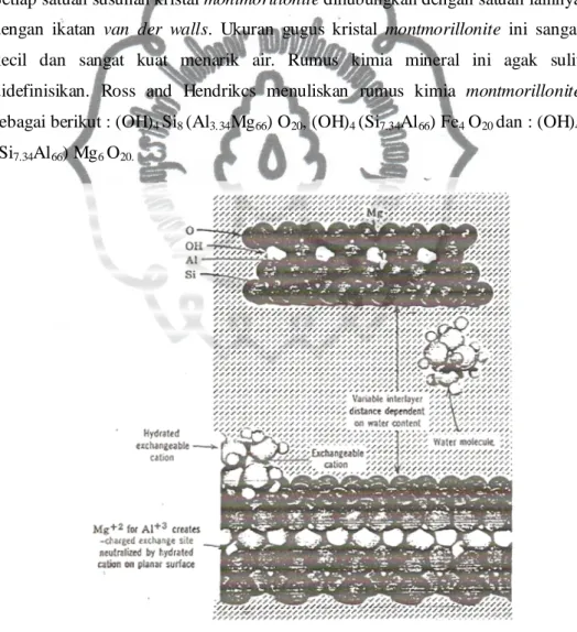 Gambar 2.6 Mineral Lempung Montmorillonite (Henry Foth 1984) 