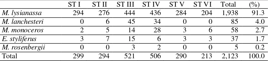 Table 5  Share of species to total shrimp abundance in six different stations (ST), the estuary of Sungai Kakap, 2006 (individual) 