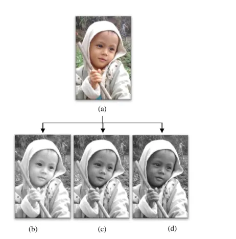Gambar 2. : Proses spatial mask  