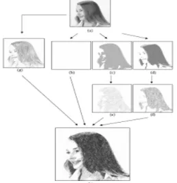 ilustrasi proses  Line Integral Convolution: 