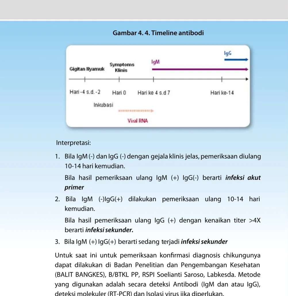 Gambar 4. 4. Timeline antibodi