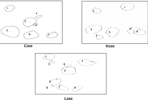 Gambar 2. Morfologi Permukaan Partikel C200; H200 dan L200  Sumber: Olahan Peneliti,2020 