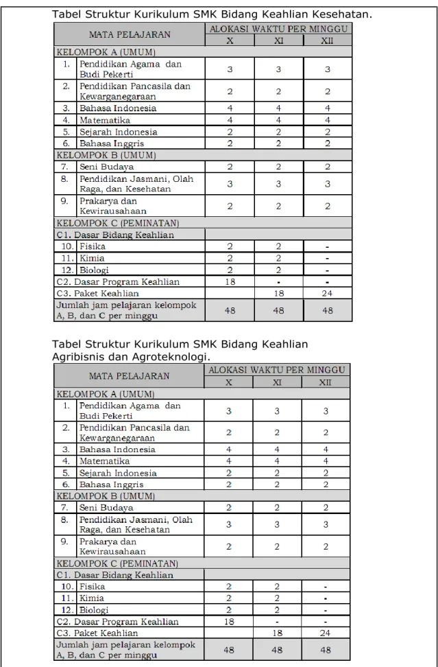 Tabel Struktur Kurikulum SMK Bidang Keahlian Kesehatan. 