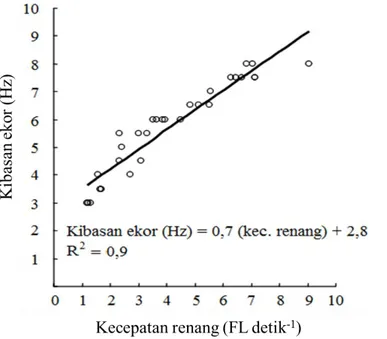 Gambar 4. Hubungan antara kecepatan renang dan kibasan ekor ikan selais (Kryptopterus sp.) 
