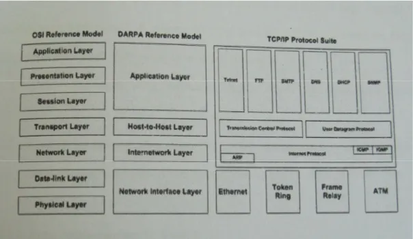 Gambar 2.3. Arsitektur TCP/IP dibandingkan dengan Model Lapisan DARPA  dan Model Lapisan OSI Layer 