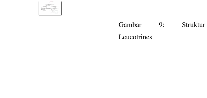 Gambar  9:  Struktur Leucotrines