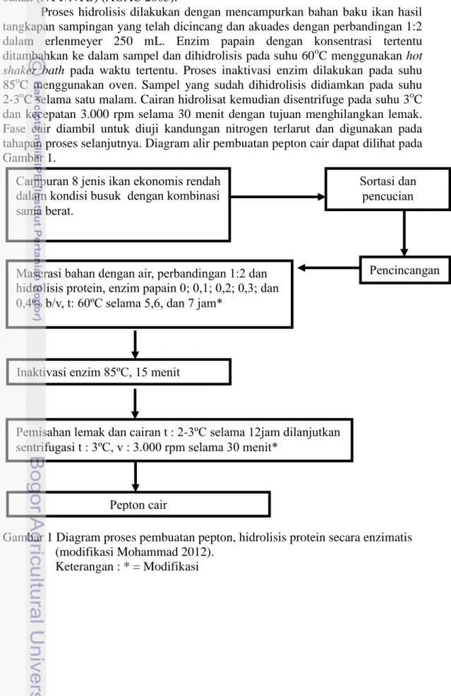 Gambar 1 Diagram proses pembuatan pepton, hidrolisis protein secara enzimatis  (modifikasi Mohammad 2012)