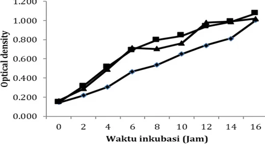 Gambar 4 Kecepatan pertumbuhan spesifi k maksimum  (μ maks )  bakteri Escherichia coli selama waktu  pengamatan; ( ––) pepton komersial; (—) pepton jeroan tongkol 1%; (---) pepton jeroan  tongkol 2%.