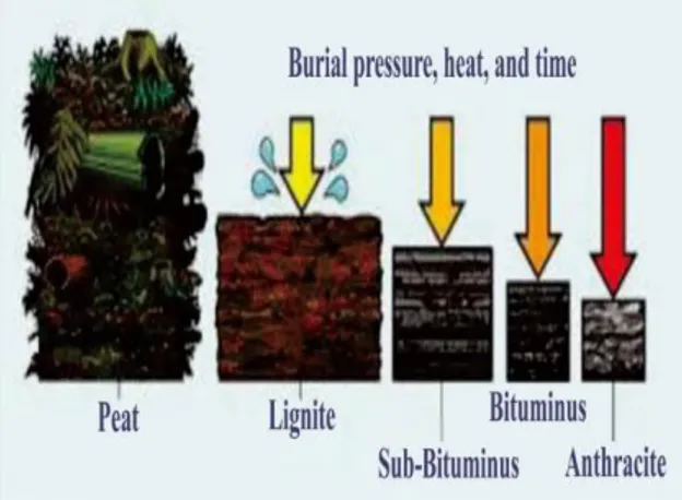 Gambar 1. Klasifikasi coal seam berdasarkan tekanan, temperatur, dan waktu pengendapan