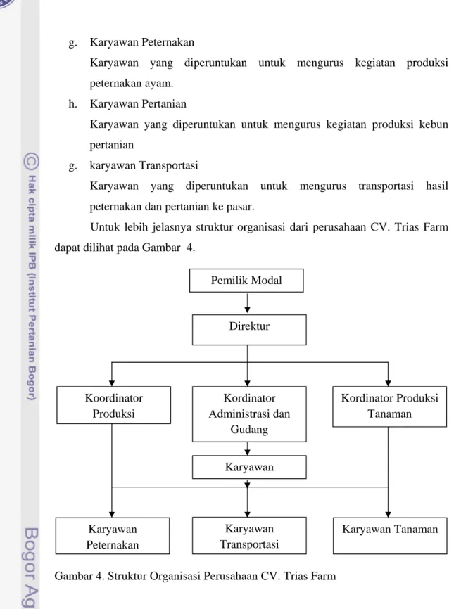 Gambar 4. Struktur Organisasi Perusahaan CV. Trias Farm 